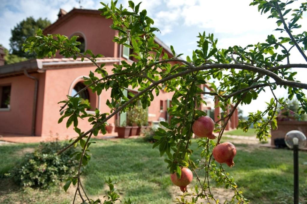 Podere Chiaromonte 팔라야 외부 사진